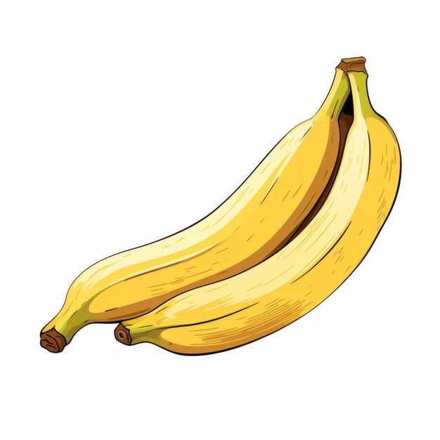 Illustration colorée de banane dessinée à la main sur fond blanc