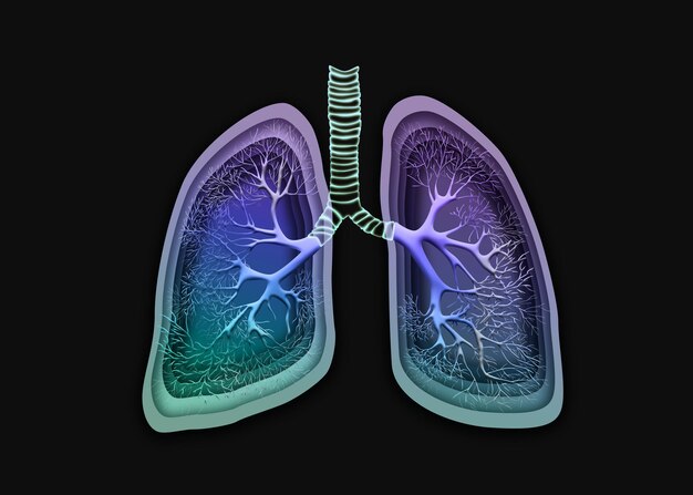 Photo une illustration colorée d'un poumon humain avec le mot poumon en bas.