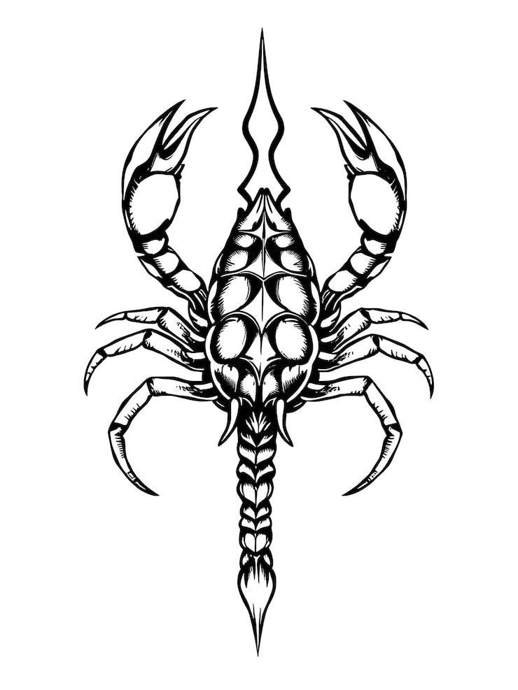 Photo une illustration complexe et dessinée à la main d'un scorpion majestueux