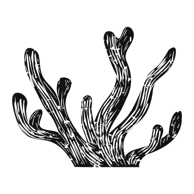 Illustration de corail vintage noir à fond transparent