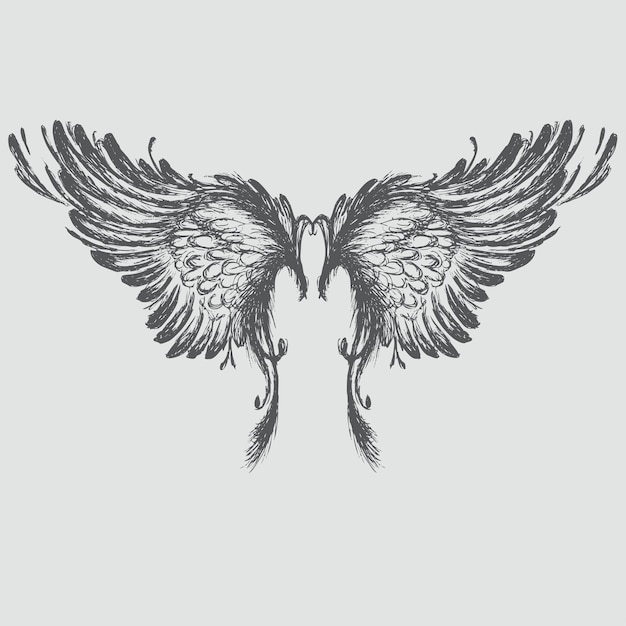 Photo illustration de dessin à la main d'ailes isolées sur fond blanc