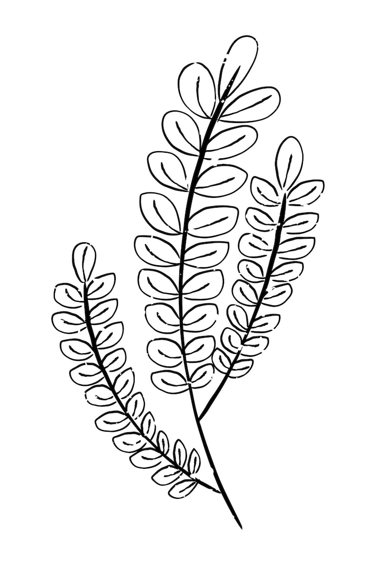 Photo illustration de doigt-à-doigt de la branche de la feuille png à fond transparent