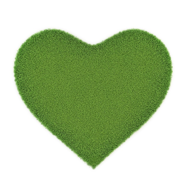 Photo illustration du coeur de l'herbe