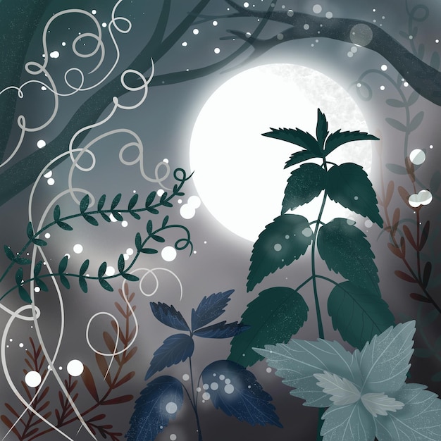 illustration du paysage naturel nocturne dans la forêt avec une montagne, la pleine lune et un ciel étoilé