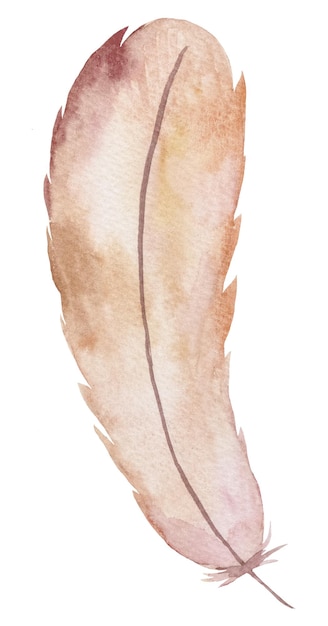 Illustration d'élément bohème aquarelle plume marron et crème isolée