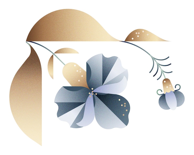 Photo illustration de fleur d'iris géométrique à fond transparent