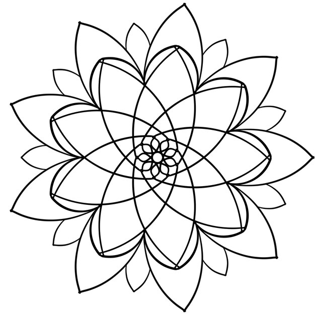 illustration d'une fleur