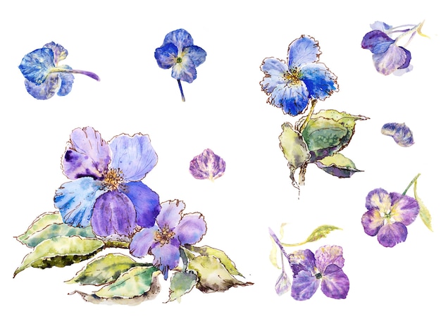 Illustration de fleurs bleues et violettes isolées sur fond blanc