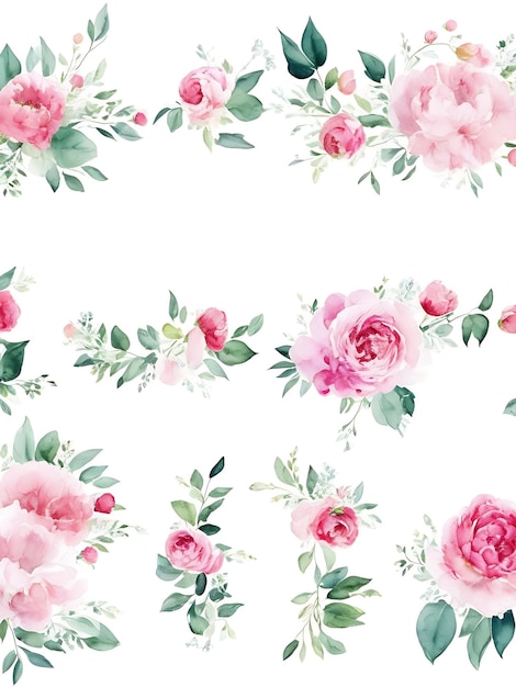 Illustration florale aquarelle éléments individuels ensemble feuilles vertes Eucalyptus olive pivoine rose