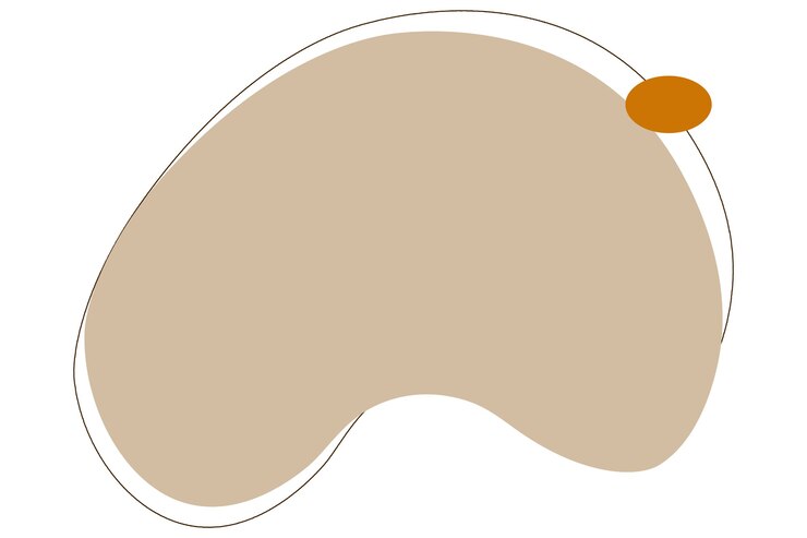 Photo illustration de fond logo abstrait couleur pastel avec fond blanc