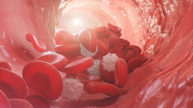 D illustration des globules rouges à l'intérieur d'une veine artérielle le flux de sang à l'intérieur d'un organisme vivant concept microbiologique scientifique et médical enrichissement avec de l'oxygène et des nutriments importants