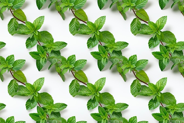 Photo illustration d'herbes vertes motif sans couture