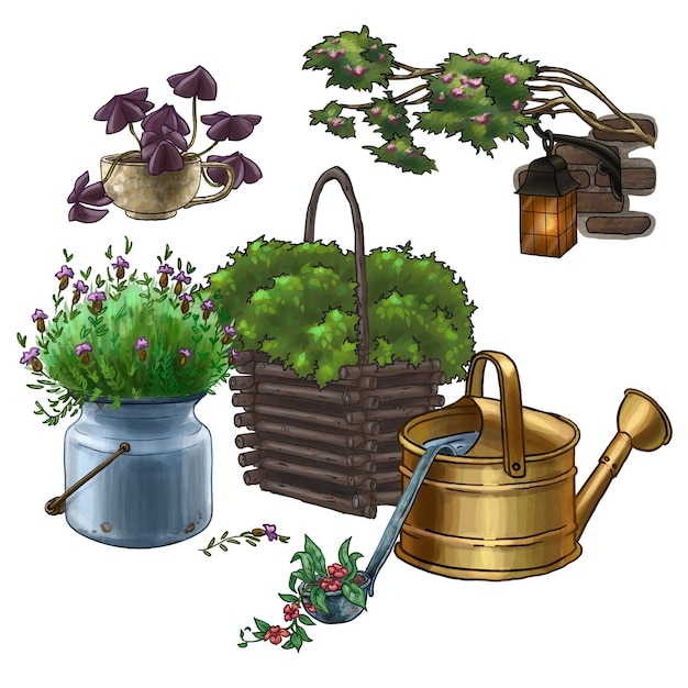 Illustration d'un jardin avec des fleurs en pots