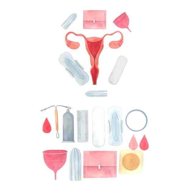 illustration de jeu avec un utérus et des produits d'hygiène féminine dessinés à l'aquarelle à la main Organs reproducteurs internes tampons