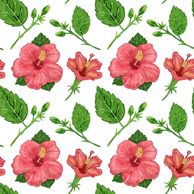 Photo illustration d'un modèle sans couture de plantes d'hibiscus fleurs et feuilles d'une plante sur un fond