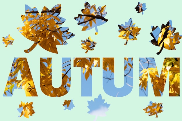 Photo illustration avec le mot automne et la conception des feuilles