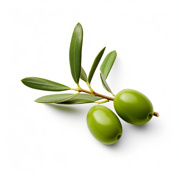 Photo illustration de l'olive sans feuille vue latérale image du côté isoler