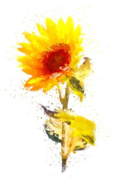 Photo illustration de peinture de tournesol isolé sur fond blanc