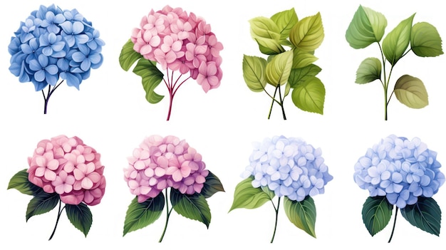 Photo illustration de plantes et de fleurs d'hortensias vibrantes générée par l'ia