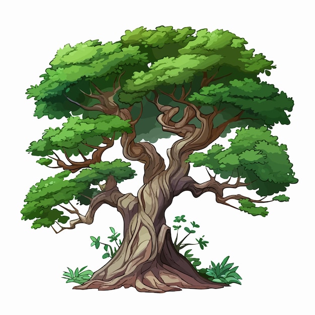 Illustration réaliste d'un arbre vert à fond blanc