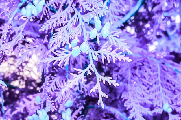 Illustration réaliste artistique de la conception de fond floral naturel tonique avec de belles branches d'arbres