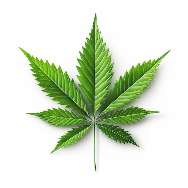 Photo illustration réaliste d'une marijuana à sept feuilles