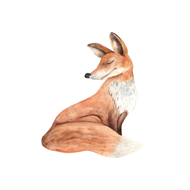 Illustration de renard assis isolé sur fond blanc illustration aquarelle dessinée à la main