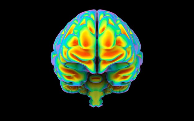 Photo illustration d'un scan du cerveau humain