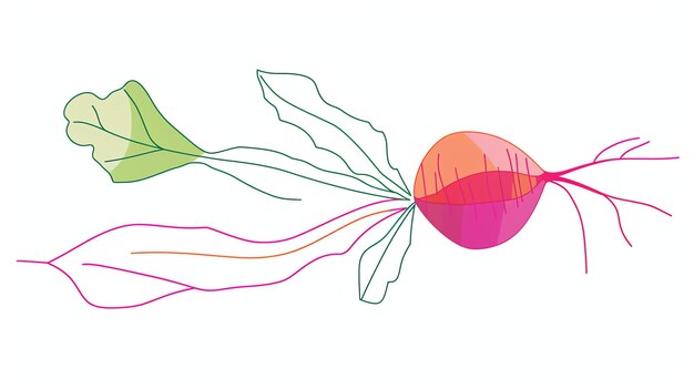 Photo une illustration simple et colorée d'une betterave la betterave est représentée avec ses feuilles et ses racines et est entourée d'un fond blanc