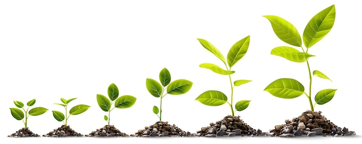 Photo illustration de six plantes vertes qui poussent dans le sol