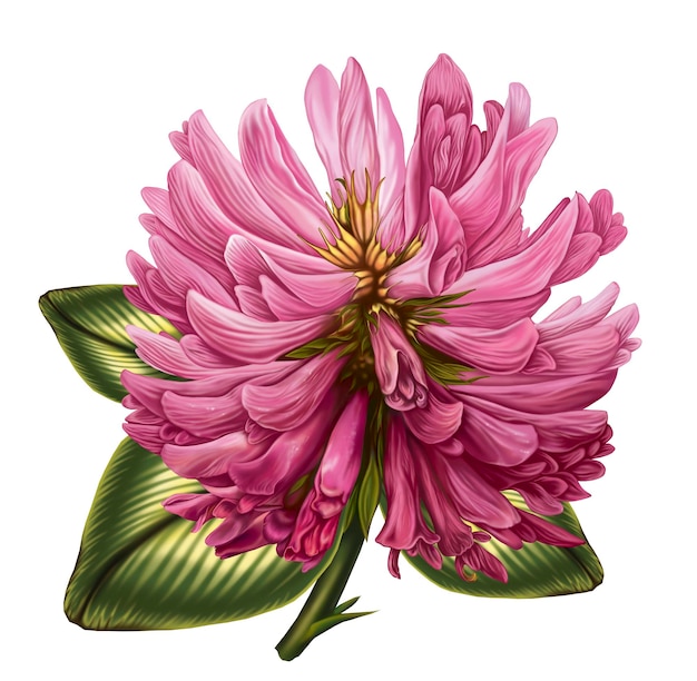 Illustration de tablette graphique hyperréalisme fleur de trèfle