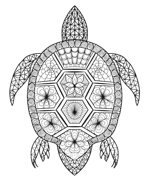 illustration de la tortue