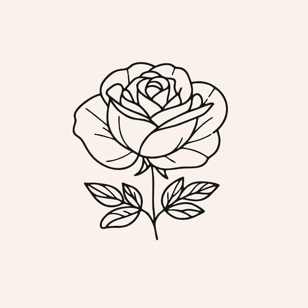 illustration vectorielle pour la coloration de la rose