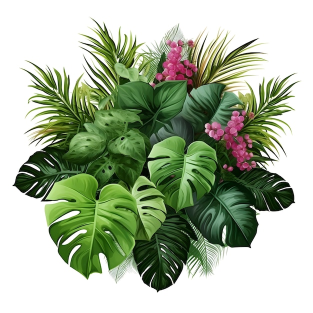 Photo illustration de la végétation tropicale illustration du feuillage tropical illustration de la plante tropicale ex