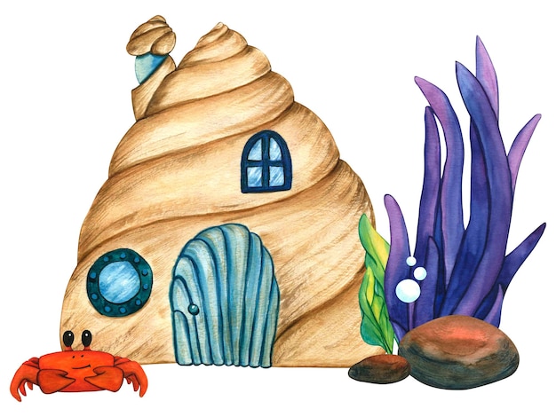 Photo illustrations à l'aquarelle coquille de crabe et d'algues violettes fonds marins fond de paysage sous-marin avec soleil clip art fond sous-marin pour enfants imprimer décoration et design