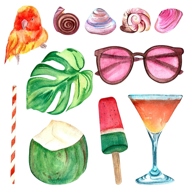 Photo illustrations à l'aquarelle coquilles cocktail noix de coco lunettes de soleil perroquet tropical fond blanc isolé