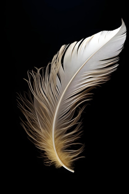 une image 3D d'une plume
