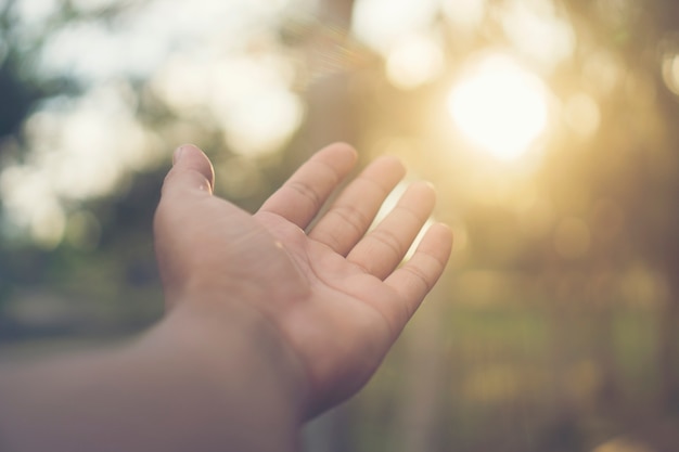 image abstraite de la nature main avec la lumière du soleil