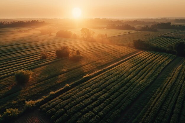 Image aérienne d'un beau coucher de soleil sur les champs agricoles