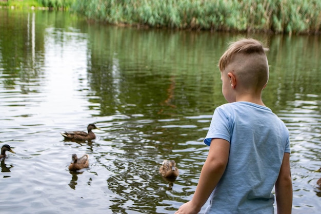 Image d'un animal un canard sauvage et un canard naviguant sur un étang. Photo de haute qualité