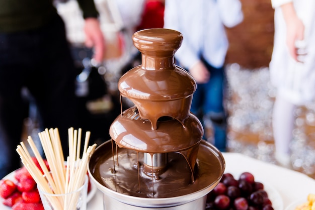 Image animée de la fontaine de chocolat Fontain lors de la fête d&#39;anniversaire des enfants