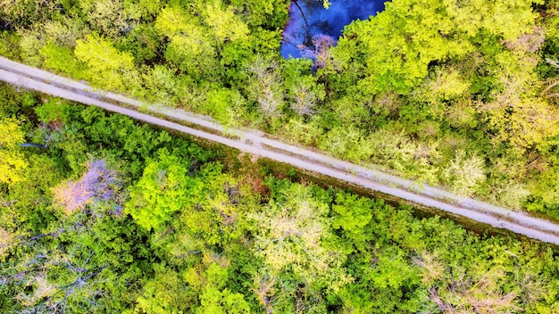Image d'antenne regardant la forêt verte vibrante avec la route de gravier simple