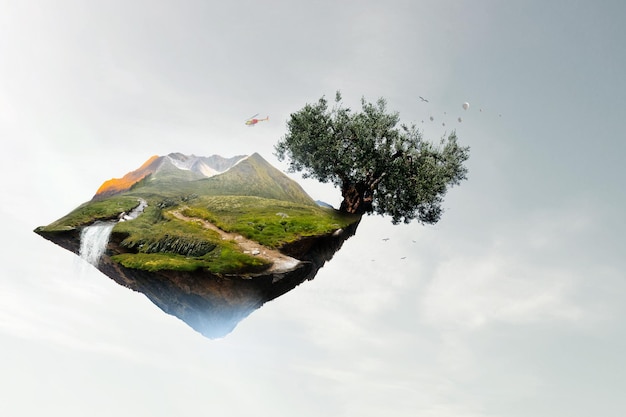 Image d'arbre et de paysage