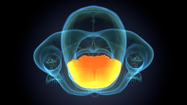 une image d'une bouche avec une substance jaune à l'intérieur