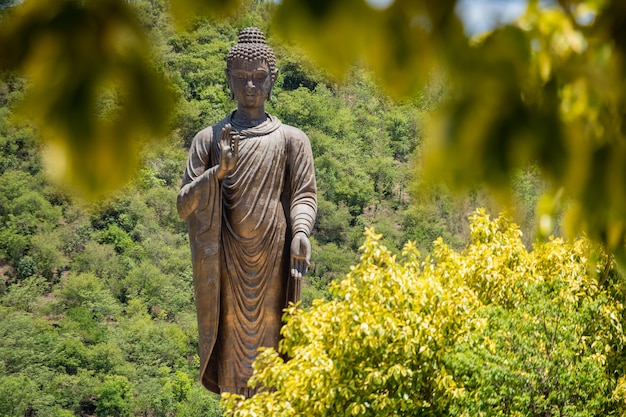 Photo image de bouddha de pierre dans la forêt