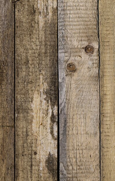 Une image captivante de planches de pin usées soigneusement alignées en rangées présentant divers types de bois