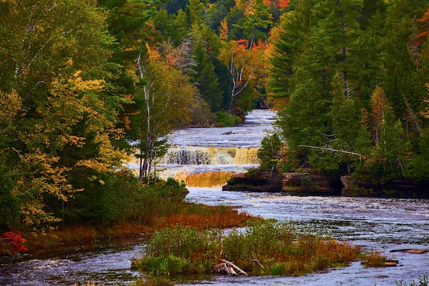 Image de la cascade à deux niveaux de Tahquamenon Falls plus en aval avec la forêt d'automne