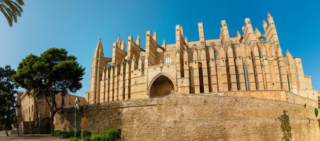 Image de la célèbre cathédrale la seu à palma de majorque espagne