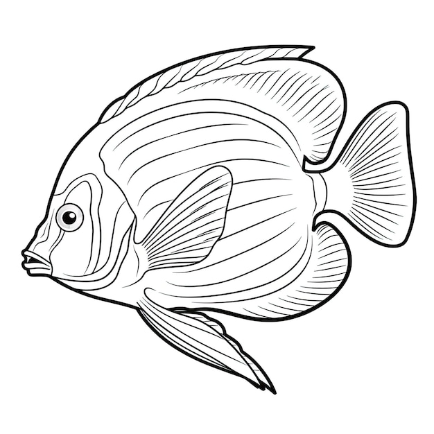 Image à colorier en noir et blanc d'un poisson-ange empereur