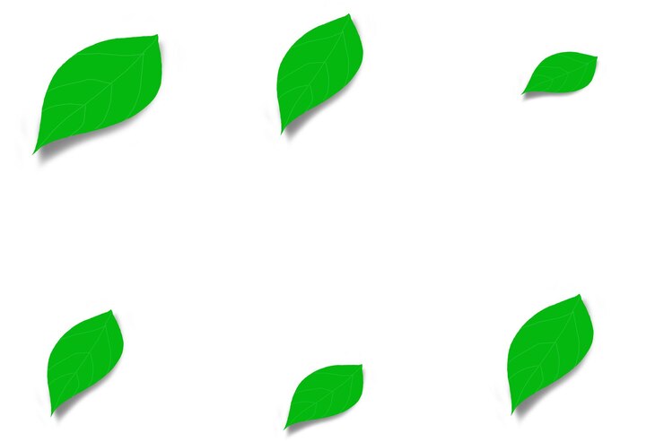 Photo image composite numérique de feuilles vertes sur fond blanc